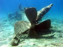 shipwreck 1.jpg